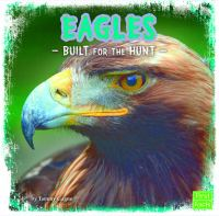 Eagles__built_for_the_hunt